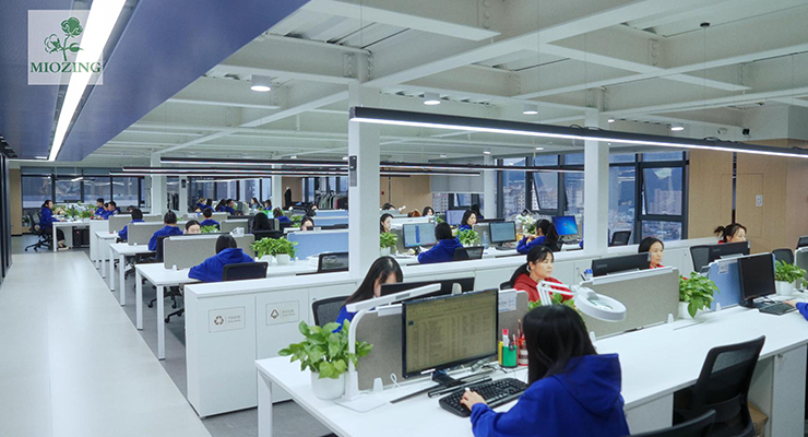 Customer Experience & Support Team